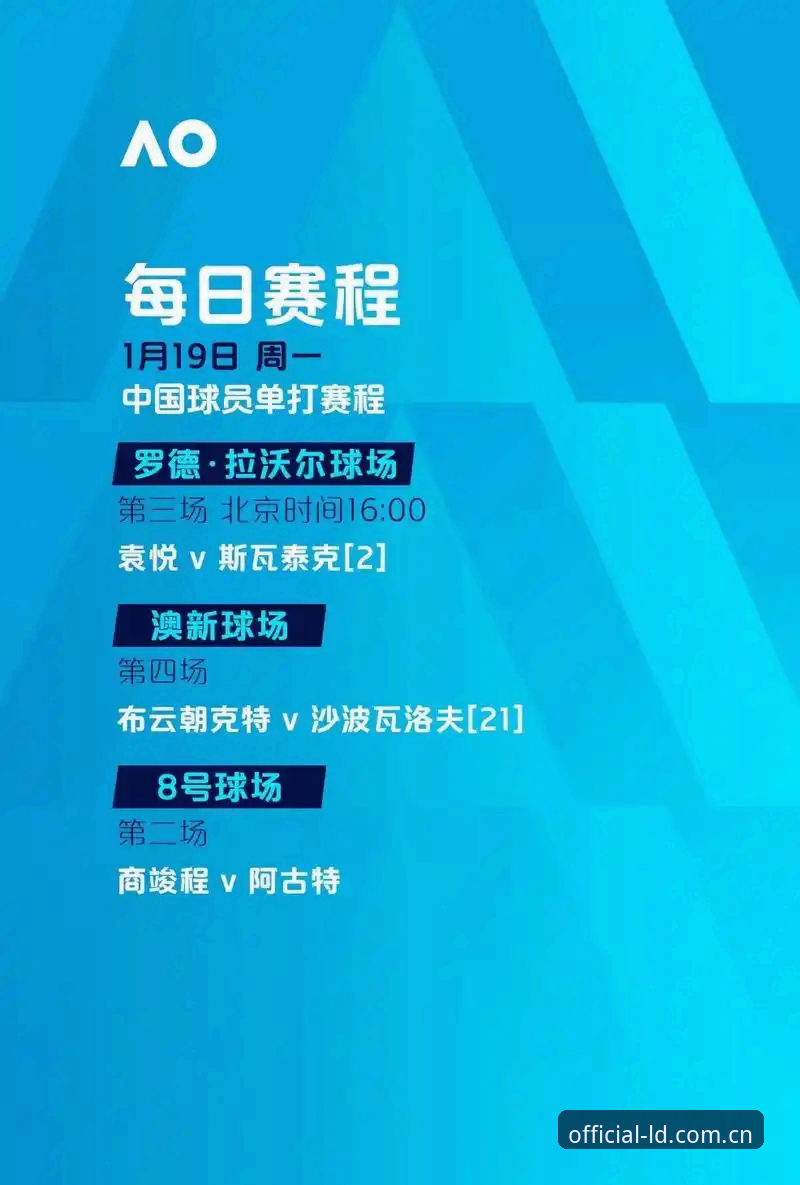 乐动体育官网深度评测：世界杯观赛热潮下的签证困局与空座之谜